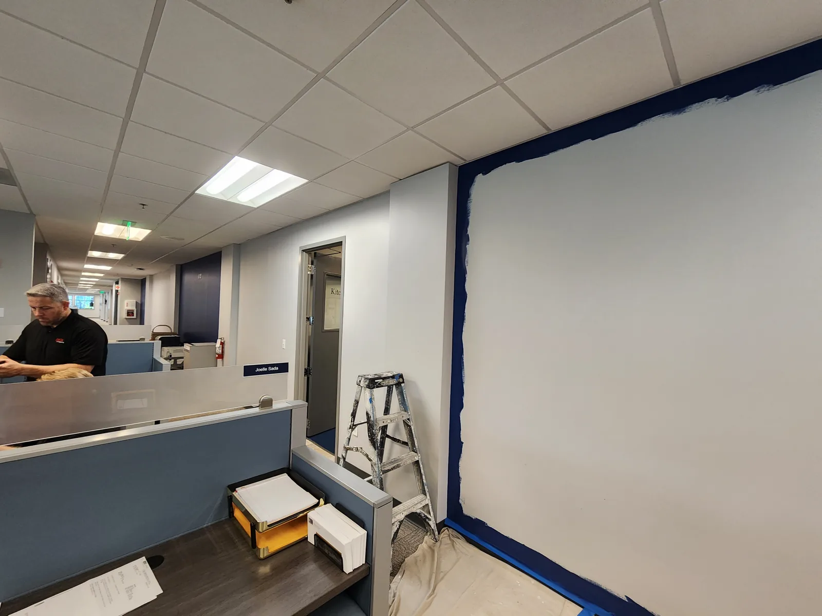 Office, Medical & Healthcare Painting